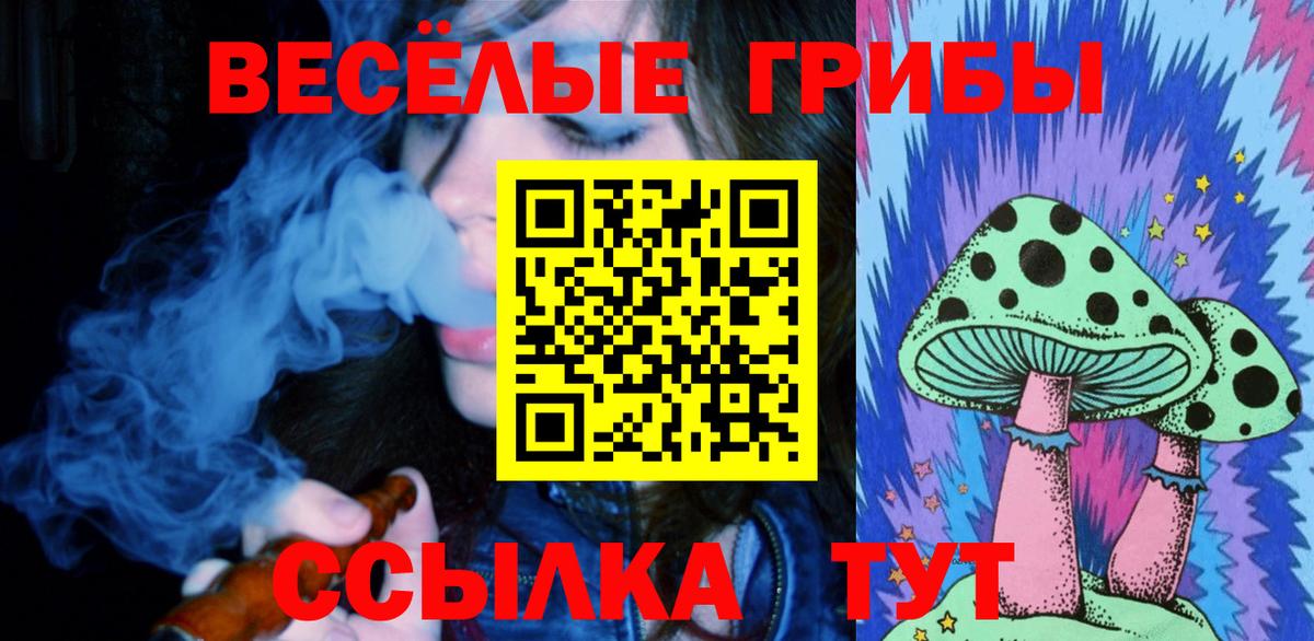 Видное  Галлюциногенные грибы прущие грибы  купить закладку  Галлюциногенные грибы Magic Shrooms  Вход с VPN 